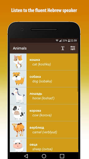 Study Russian Basics free screenshot 4