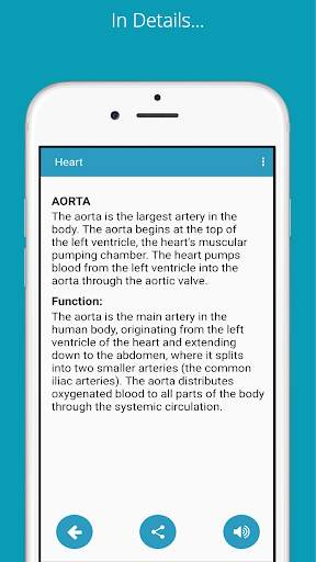 Learn Human Anatomy (Human Body) screenshot 6