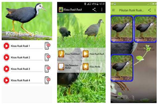 Suara Ruak Ruak Pikatan Mp3 screenshot 2