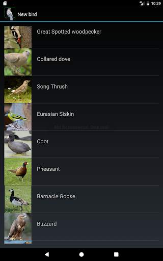 British Birds screenshot 11