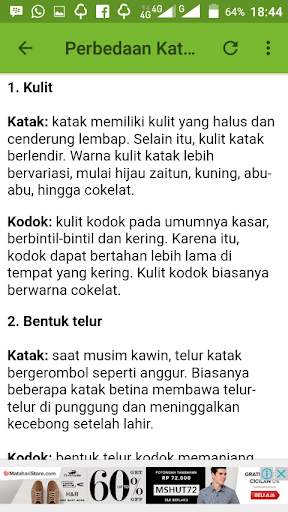 Suara Katak Mp3 screenshot 5