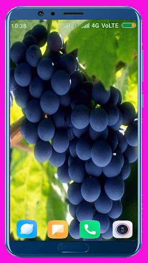 Grapes HD wallpaper screenshot 6