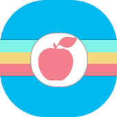 Profesional HD Camera icon