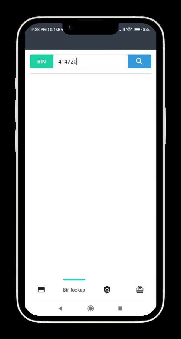 CCGen: Namso-Gen, Bin Lookup screenshot 1