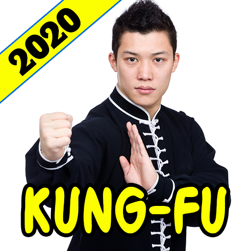 Learn Kung Fu Training 2020 أيقونة