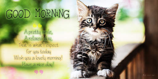 Good Morning screenshot 7
