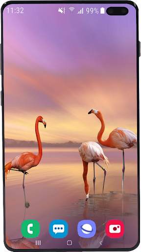 Flamingo Wallpaper HD screenshot 1
