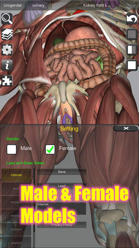 3D Bones and Organs (Anatomy) screenshot 7
