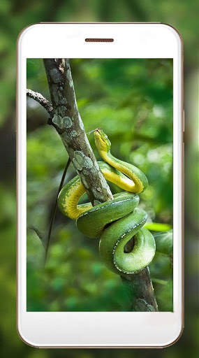 Snakes Best Live Wallpaper screenshot 3