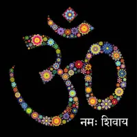OM Live Wallpaper