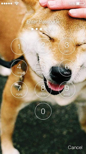 Funny Shiba Inu Dog Screen Lock screenshot 2