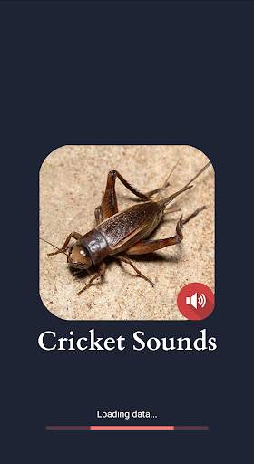 Cricket Sounds screenshot 1