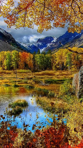 Autumn Wallpapers HD & 4k Backgrounds screenshot 7