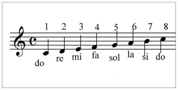 Learn to read the musical notes screenshot 1