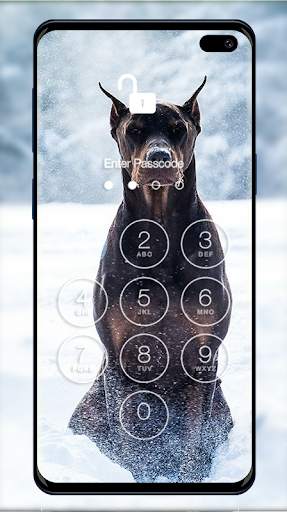 Doberman Wallpapers & Lock Screen screenshot 2
