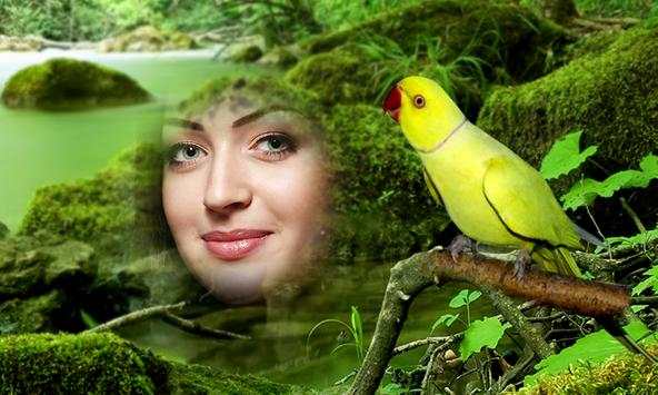 Birds Photo Frames HD screenshot 4
