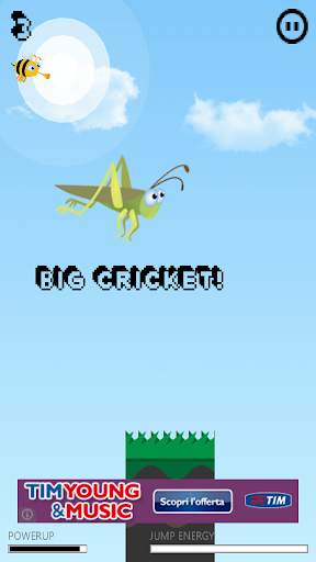 Crazy Cricket screenshot 2