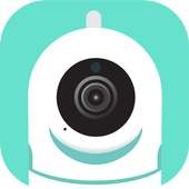 allb cam