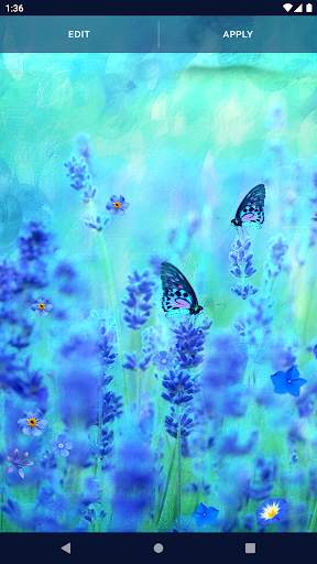 Blue Flowers Live Wallpaper screenshot 5