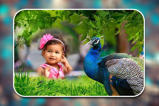Peacock Photo Frames screenshot 3
