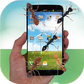 Ant run in phone funny joke icon