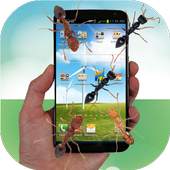 Ant run in phone funny joke 1.0