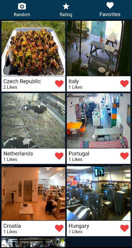 RealLifeCam | Online Cameras screenshot 4