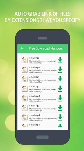 Free Download Manager screenshot 4