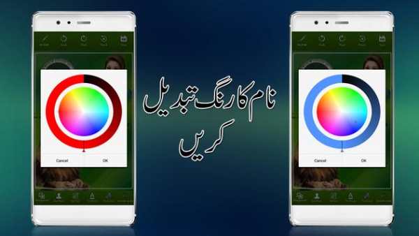 PMLN Flex Maker 2018 screenshot 6