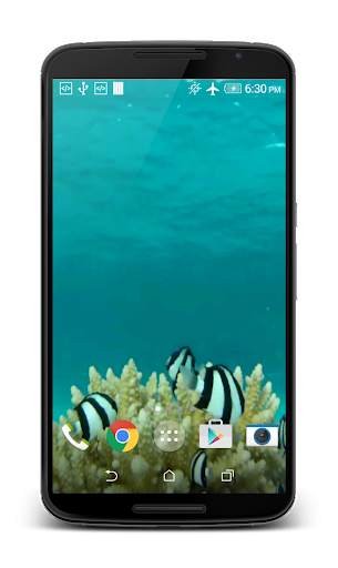 Fish HD Live Wallpaper screenshot 4
