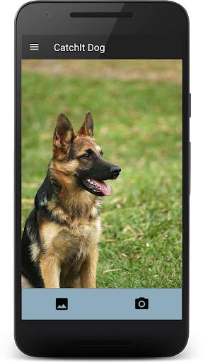 CatchIt Dog - Dog breeds scanner photo screenshot 3
