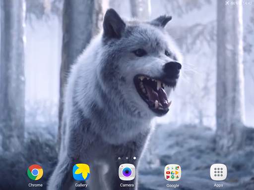 Wolf Video Live Wallpaper screenshot 9