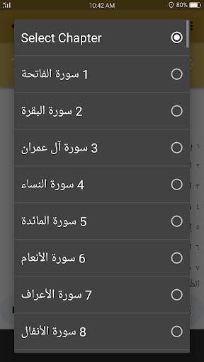 Saad Al Ghamidi Quran MP3 screenshot 6