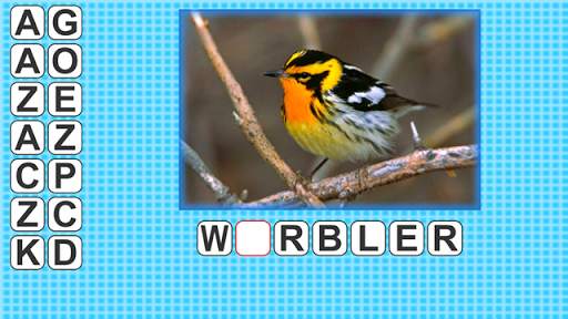 Bird Center: Kids Learn Birds स्क्रीनशॉट 8