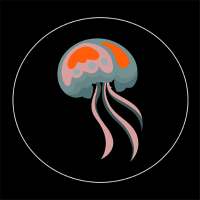 Zoology invertebrates part I on 9Apps