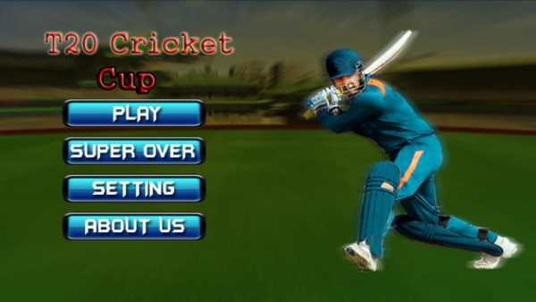 T20 Cricket Cup screenshot 1