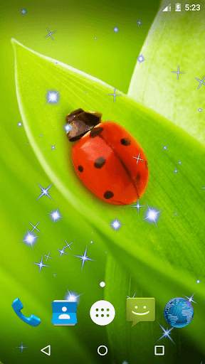 Ladybug Live Wallpaper screenshot 5