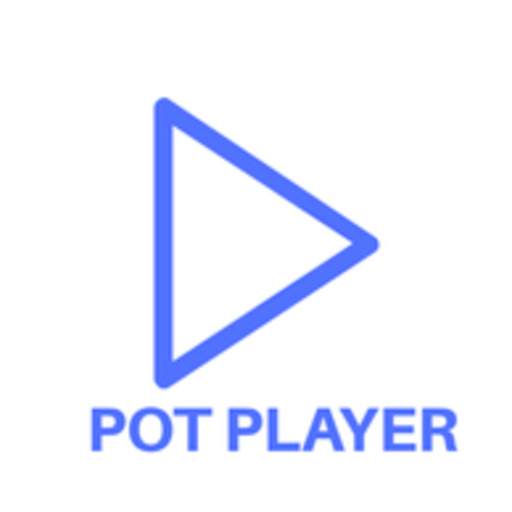Pot Player 1.0