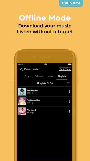 Deedo - African & International Music screenshot 4
