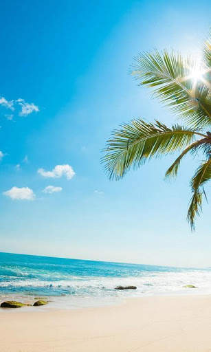 75  Summer Vibe Wallpaper For Andoid HD 3 تصوير الشاشة