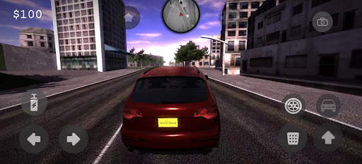 Driver World screenshot 3