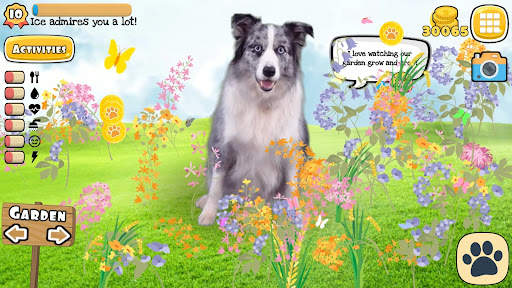 Real Pets: Adopt and Play! screenshot 4