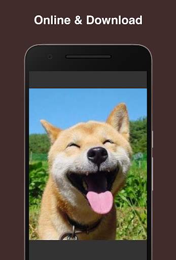Funny videos for Zili screenshot 3