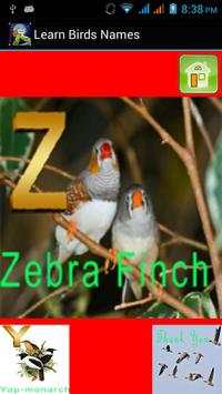 Kids Learning Birds Name screenshot 6