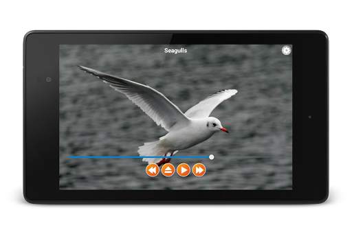 Animal Sounds Free Offline screenshot 8