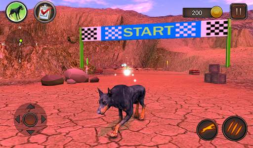 Simulator Anjing Doberman screenshot 9