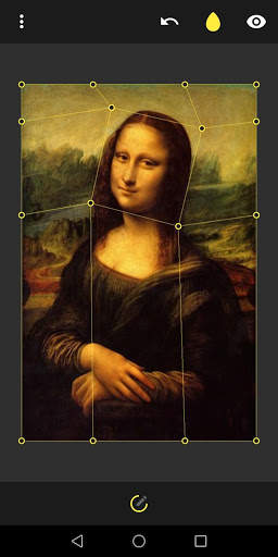 Image Warp - Grid Modifier 5 تصوير الشاشة