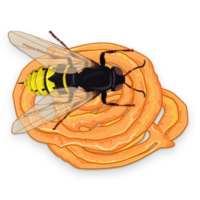Zlabia Bnina | Delicious Jalebi ~ DZ Game 🇩🇿