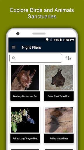 Jamaica Travel & Explore, Offline Country Guide screenshot 5