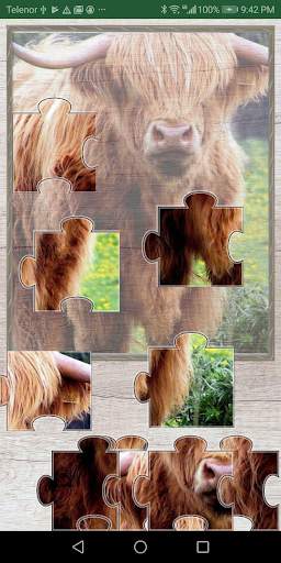 Animals sounds – learning animals and birds names screenshot 6